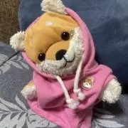 けんたまの画像