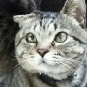 ふくちゃん