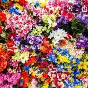 hiro 24時間内発送します。の画像