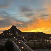 ありの画像