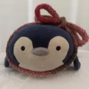 piyopiyohiyoko