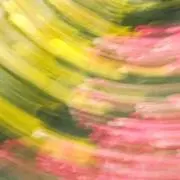 ディアズ
