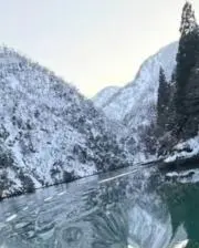 らーの画像