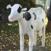 おはぎの画像