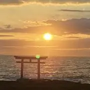 Fujiの画像