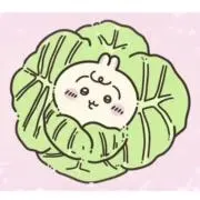 USA⭐︎即購入NG！プロフ必読⭐︎の画像