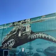 京やさいの画像