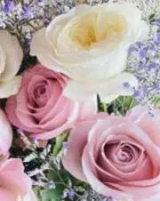 ROSE・B子（プロフご覧願います）の画像