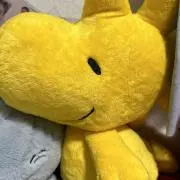 けいの画像