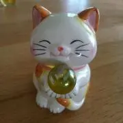 モコちゃん⭐プロフ必読⭐の画像