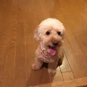 たくーま