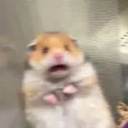 なかもとの画像