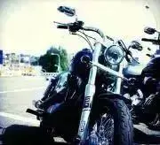 【絶対プロフィールご確認下さい】fxdbの画像