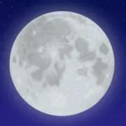ポコ太の画像