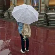 ハルケロの画像