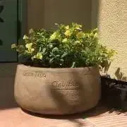 ＊acomico＊の画像