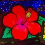 マルコメの画像