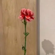 ka