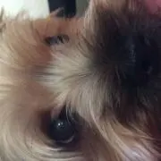 マイケル