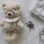 しふぉんの画像