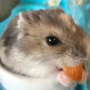 ゆかゆか