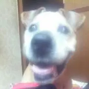 ひゅう 購入前に必ずコメントを❗️の画像