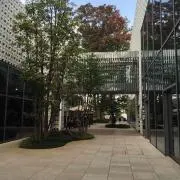 sorariの画像