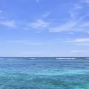 8/1〜8/31まで配送お休みの画像