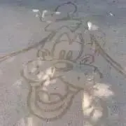 くーぽんみーこまの画像