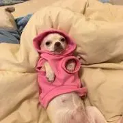 ちょりまるの画像
