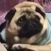 愛子  コメより値下げ交渉致します