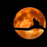 moon⭐︎の画像