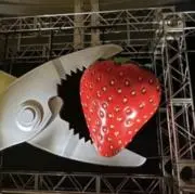 スピカの画像
