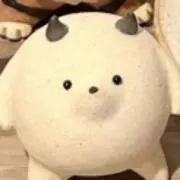 しろまるの画像