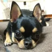 MAROくん