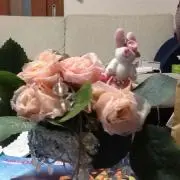 のんちゃん