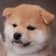 ふわり☆プロフ読んでください