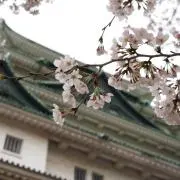 とむ