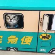 なっちの画像