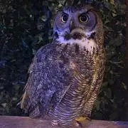 くにさん