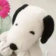 aの画像