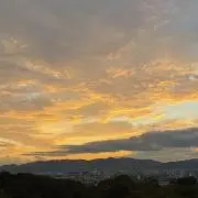 きゃみきゃみ