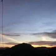 ゆゆ