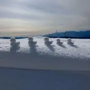 きょんしーの画像