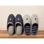 came ※8月は発送できませんの画像