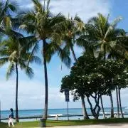 hiyoco7の画像