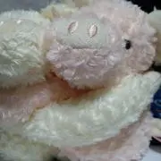 nagiの画像