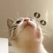 ℃