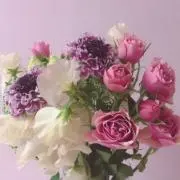 なな☆お気軽にコメントお待ちしていますの画像
