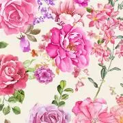 MIYUKI⭐プロフ必読⭐の画像